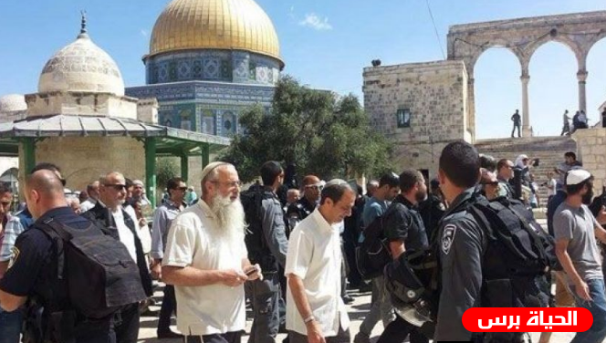 مستوطنون يقتحمون باحات الأقصى